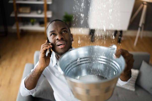 Best Water damage restoration insurance claims  in Eaton, IN