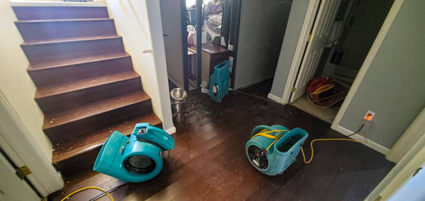 Best Commercial water damage restoration  in Eaton, IN