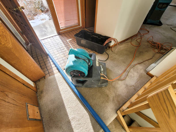 , IN Water damage restoration Company