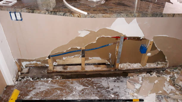  Eaton, IN Water damage restoration Pros