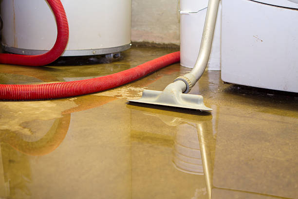 Best Fire Damage Restoration  in Eaton, IN