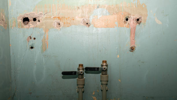 Best Basement water damage restoration  in Eaton, IN