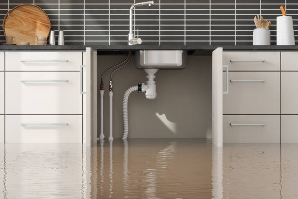 Best Ceiling water damage repair  in Eaton, IN