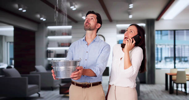 Best Basement water damage restoration  in Eaton, IN