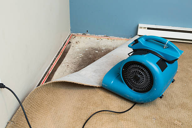 Best 24-hour water damage restoration  in Eaton, IN